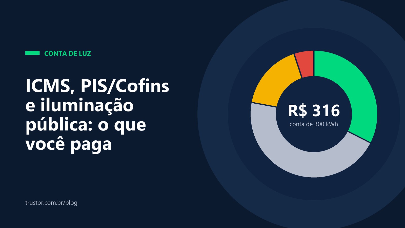 Gráfico em rosca de uma conta de luz de R$ 316, dividida em energia, distribuição, ICMS e PIS/Cofins
